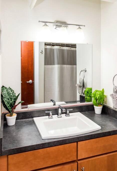 Centric Modern Loft W/ King Beds Apartment Rochester Bagian luar foto